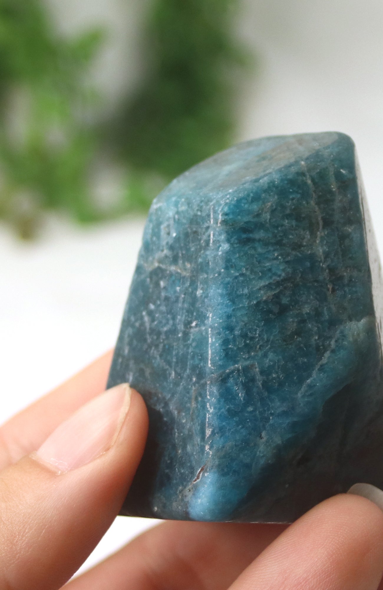 Blue Apatite Freeform